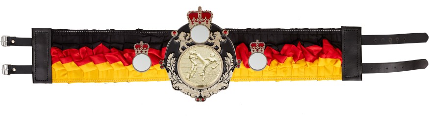 QUEENSBURY KICKBOXING SILK CHAMPIONSHIP BELT - QUEEN/B/KBOG/SILK - AVAILABLE IN 6 COLOURS